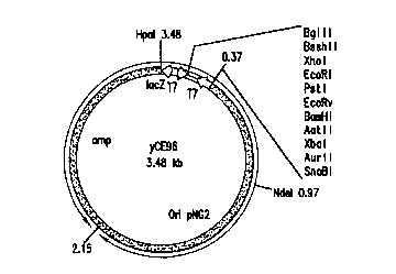 Une figure unique qui représente un dessin illustrant l'invention.